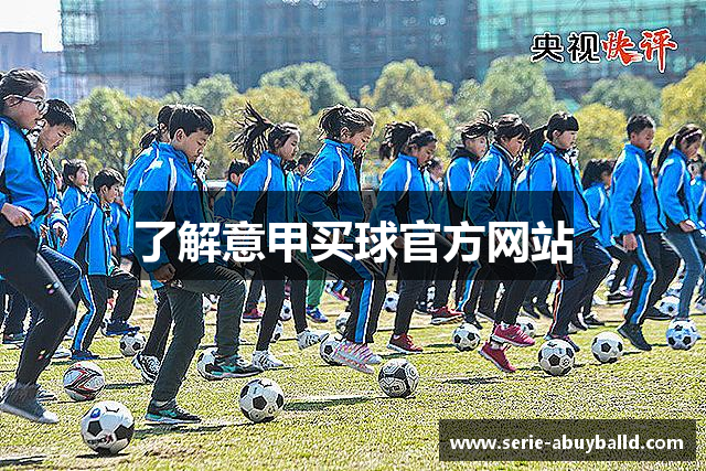 了解意甲买球官方网站